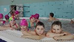 2.D plavání 2018 3.D 2018/19