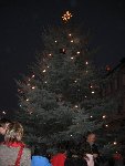 Advent 2011 2.D 2011/12