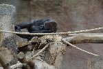 Exkurze ZOO Praha 15.10.2014 6.D 2014/15