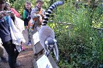 Exkurze ZOO Praha 15.10.2014 6.D 2014/15