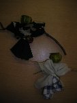 Listňáčci 4.D 2011/12