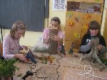 Pařezníci 5.D 2012/13