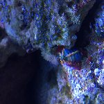 Planetárium,akvárium 5.C 2017/18