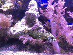 Planetárium,akvárium 5.C 2017/18