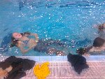 Plavání 5.A 2012/13
