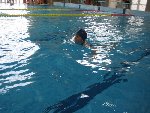 plavecký výcvik 2.D 2011/12