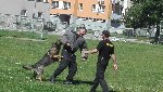 Policejní výcvik psů 2.D 2017/18