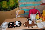 Projekt řemesla 5.A 2015/16