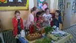 Projektový den -řemesla 4.D 2015/16