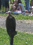 Ptáci 4.A 2010/11