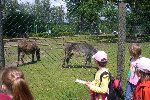 Školní výlet ZOO Hluboká Ohrada 1.A 2011/12