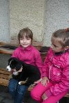 Štěňátka ve škole 1.A 2012/13