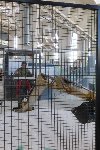 Techmania Plzeň - exkurze2 5.A 2016/17