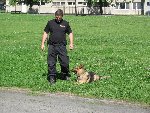 Ukázka výcviku policejních psů 1.B 2016/17