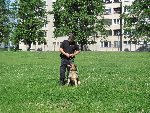 Ukázka výcviku policejních psů 1.B 2016/17