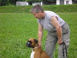 Ukázka výcviku psů 1.A 2009/10