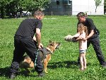 Výcvik policejního psa 1.C 2016/17