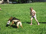 Výcvik policejního psa 1.C 2016/17