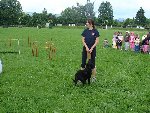 Výcvik psů 1.C 2009/10