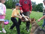 Výcvik psů 1.C 2009/10