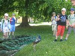 Výlet 2.D 2014/15