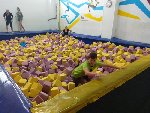 Výlet do Jump Parku a minizoo Zbraslav 6.D 2017/18