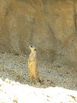 Výlet do ZOO Ohrada 1.B 2010/11