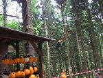 výlet lanový park Libín 6.A 6.A 2010/11