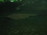 výlet ZOO 3.D 2012/13