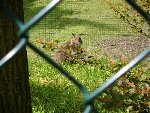 výlet ZOO Plzeň 1.D 2012/13