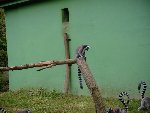 výlet ZOO Plzeň 1.D 2012/13