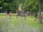 výlet ZOO Plzeň 1.D 2012/13