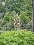 výlet ZOO Plzeň 1.D 2012/13