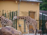 výlet ZOO Plzeň 1.D 2012/13