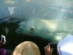Výlet ZOO Praha 3.A 2016/17