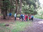 Zálesí 2013 5.C 2012/13