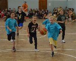 ŽL v minibasketbalu 2014/15