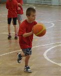 ŽL v minibasketbalu 2014/15