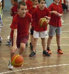 ŽL v minibasketbalu 2014/15