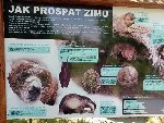 ZOO Hluboká 2.B 2021/22