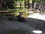 ZOO - Hluboká nad Vltavou 1.C 2015/16