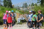 ZOO Hluboká - školní výlet 1.A 2017/18