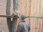 ZOO Praha  5.B 2016/17