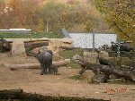 ZOO Praha  5.B 2016/17