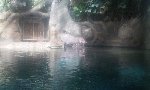 ZOO Praha 5.D 2016/17