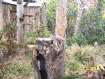 ZOO Praha 6.A 2014/15
