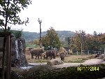 ZOO Praha 6.A 2014/15