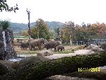 ZOO Praha 6.A 2014/15