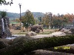 ZOO Praha 6.A 2014/15