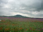 Exkurze Říp a Terezín 8.M 2008/09